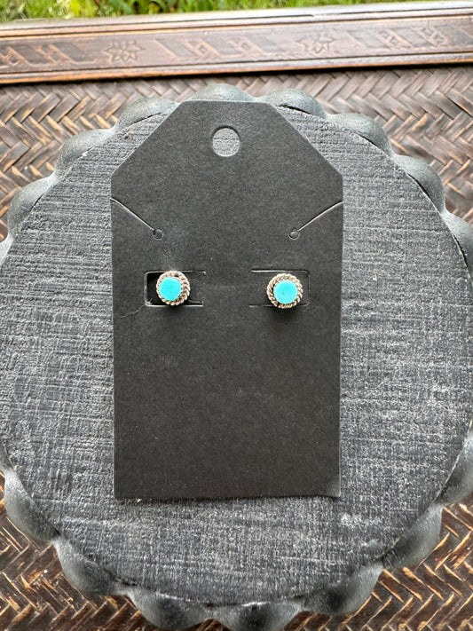 Dainty Turquoise Studs